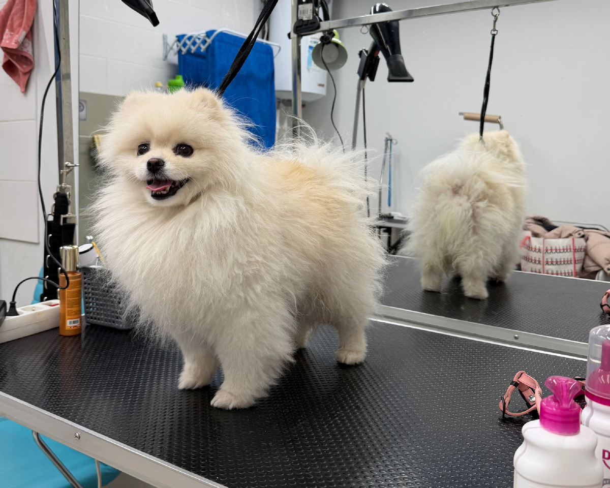 Касси в начале лечения