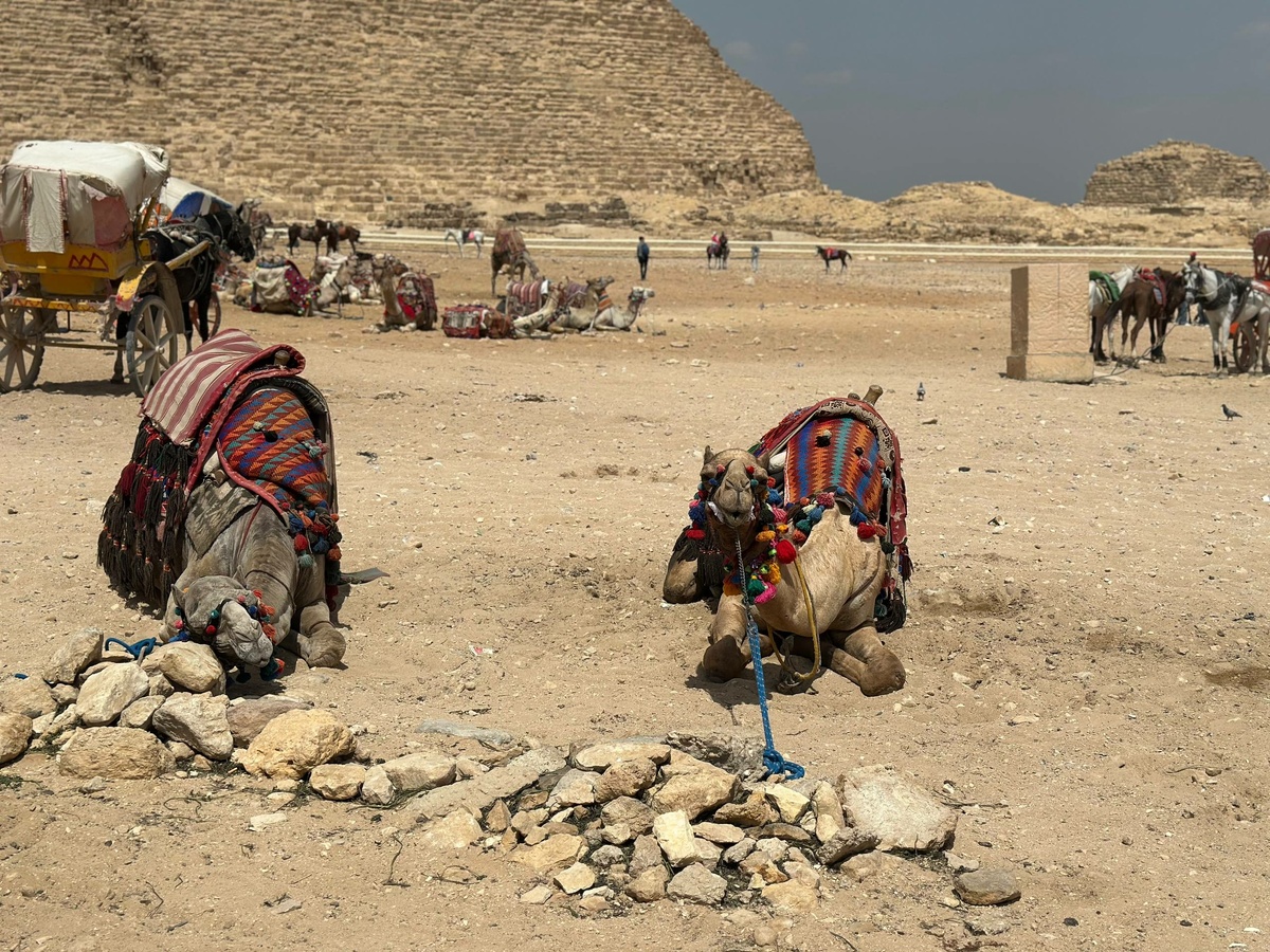    Фото: "Бриф24"