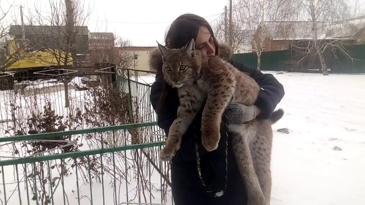 Фотография из интернета