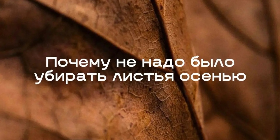🍂🍁 На заметку садоводам и