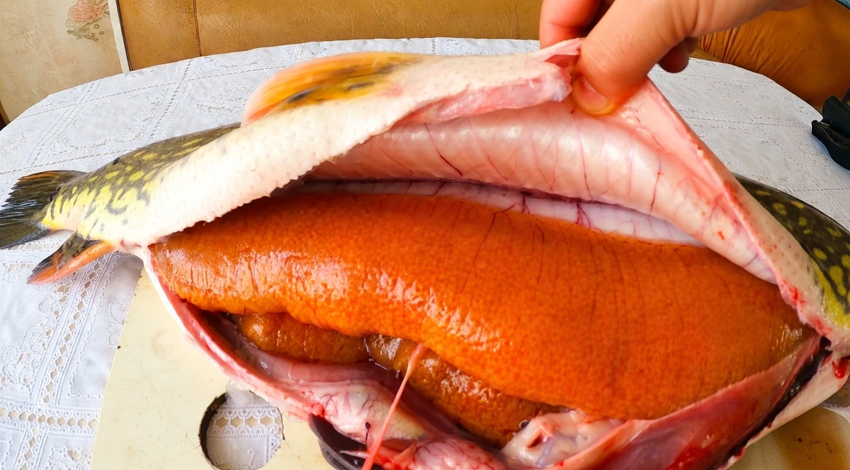 Щучья икра выглядит аппетитно