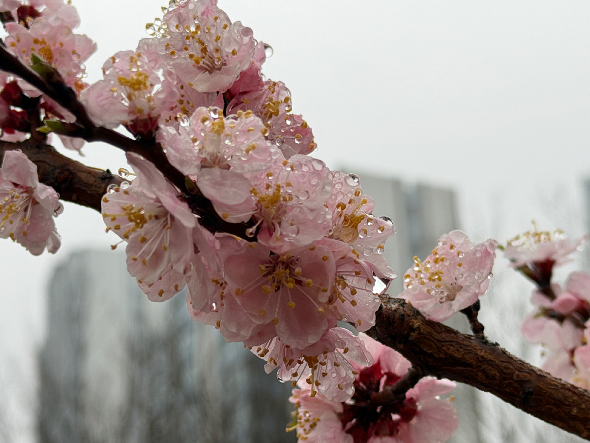 Фото автора канала Соло-путешествия