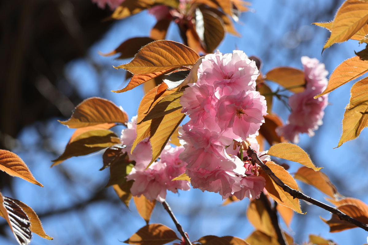 Фото автора канала Соло-путешествия