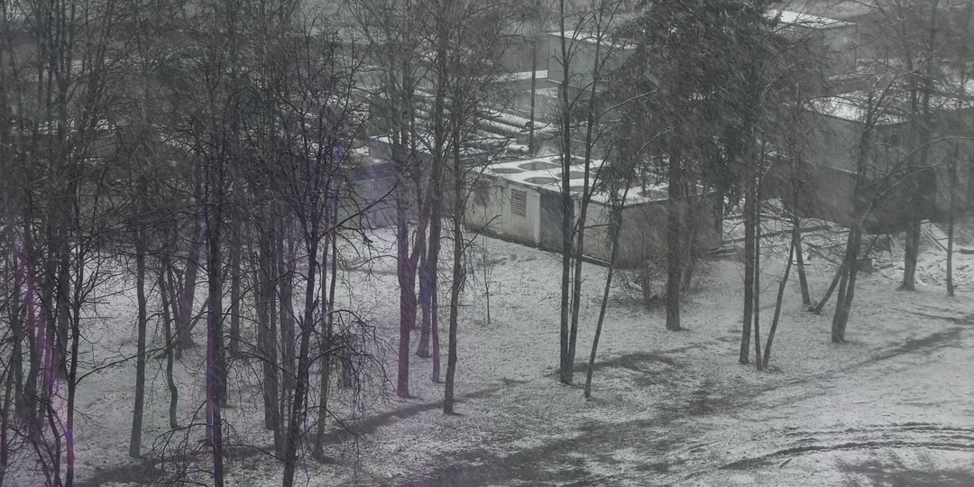 (Снежно-)белые цветы в дополнительном заказе.