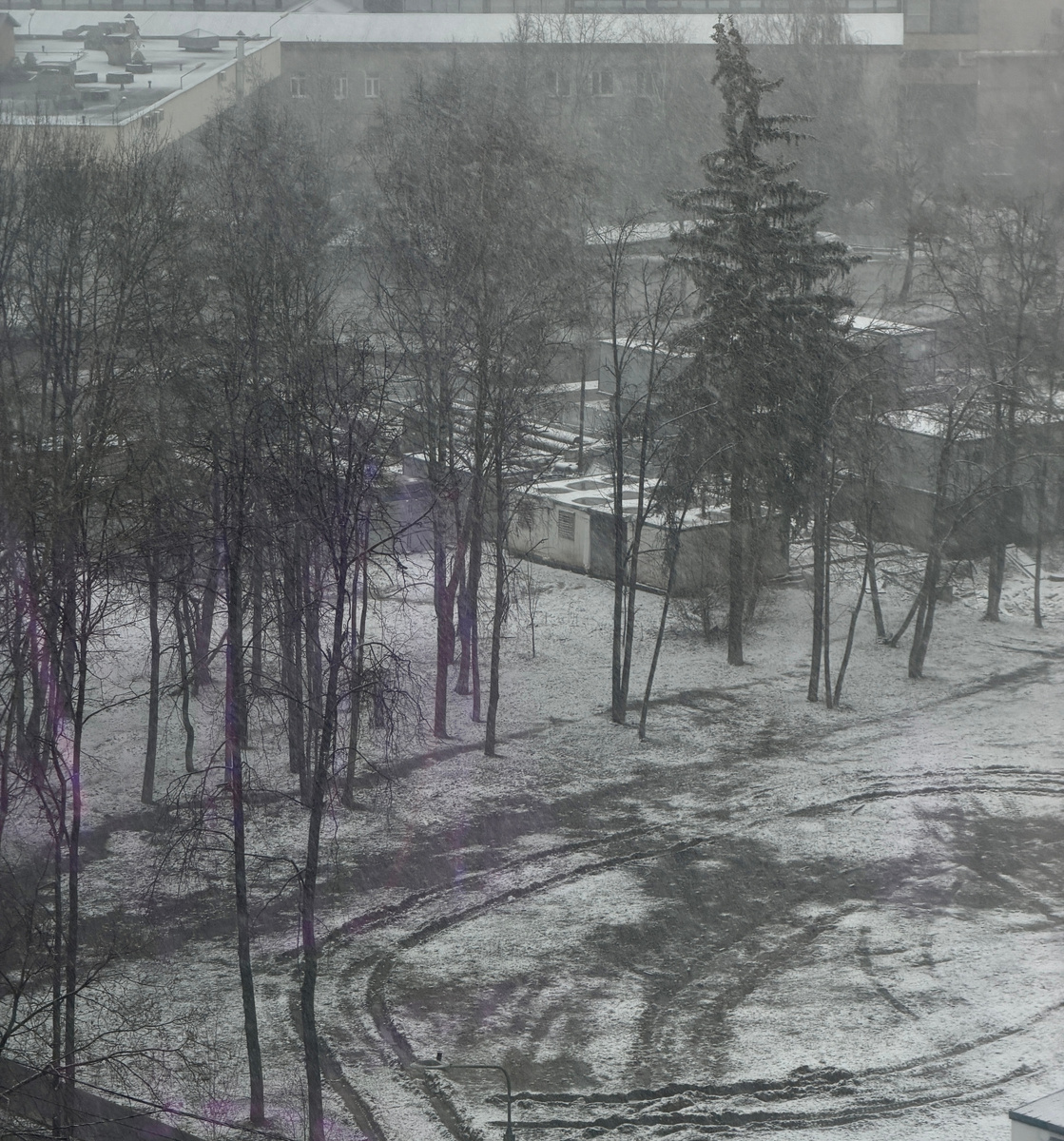 Вот такое у меня сейчас за окном.