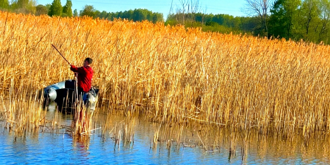Нерестовый запрет 2026: что можно, что нельзя и как не попасть на штраф