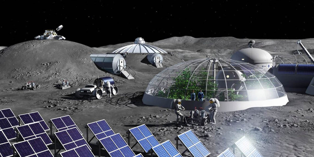 Насекомые для автономных поселений в космосе: маленькие герои большой миссии