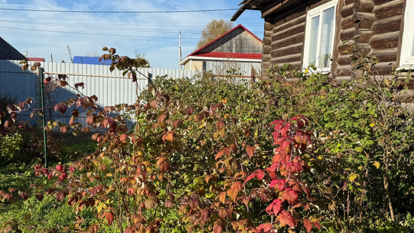    Из архива редакции