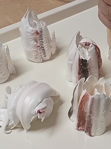 Тюльпан устал