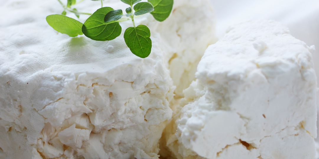 Молодые и свежие сыры