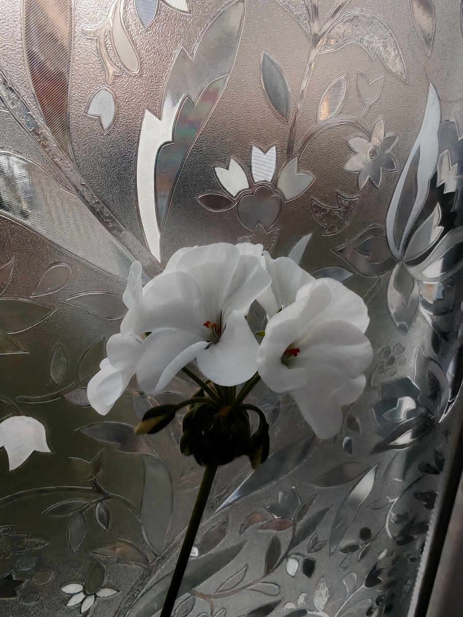 Весна не за горами