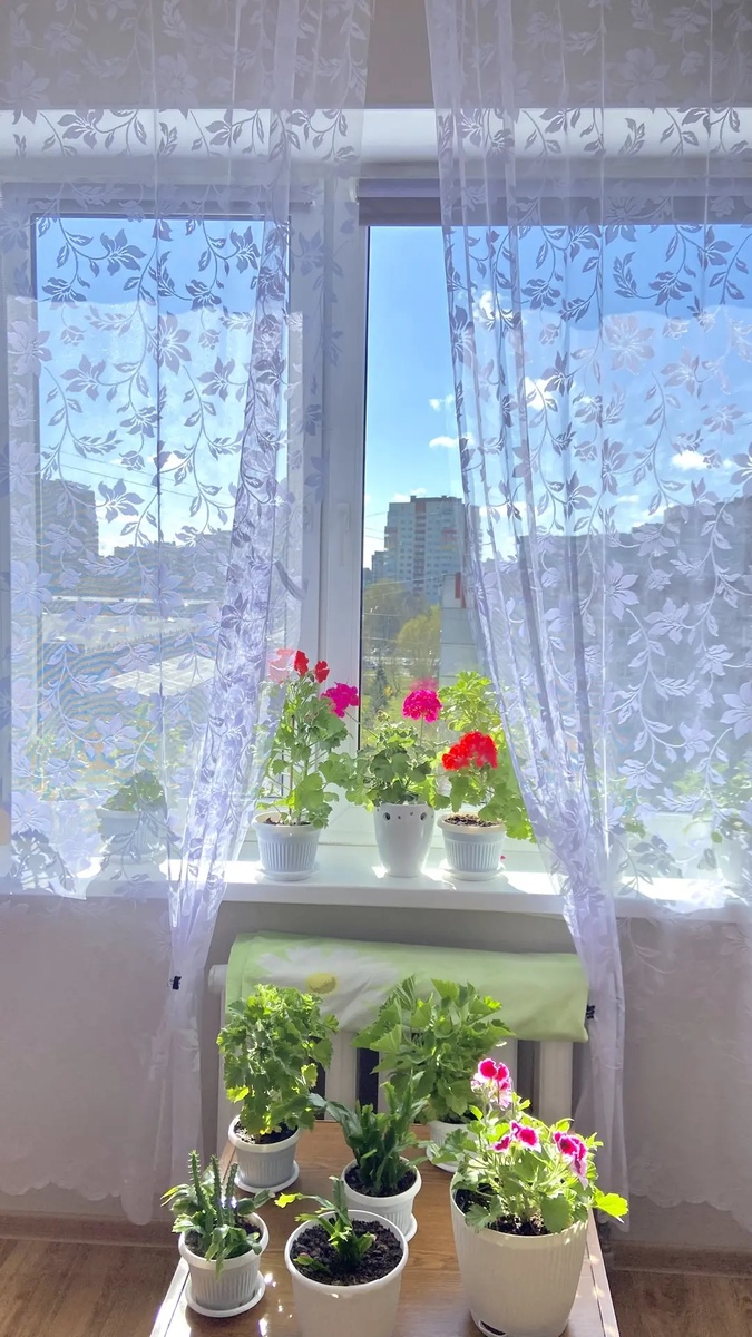  Только повесили тюль.