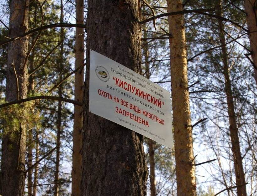 Охота запрещена! 