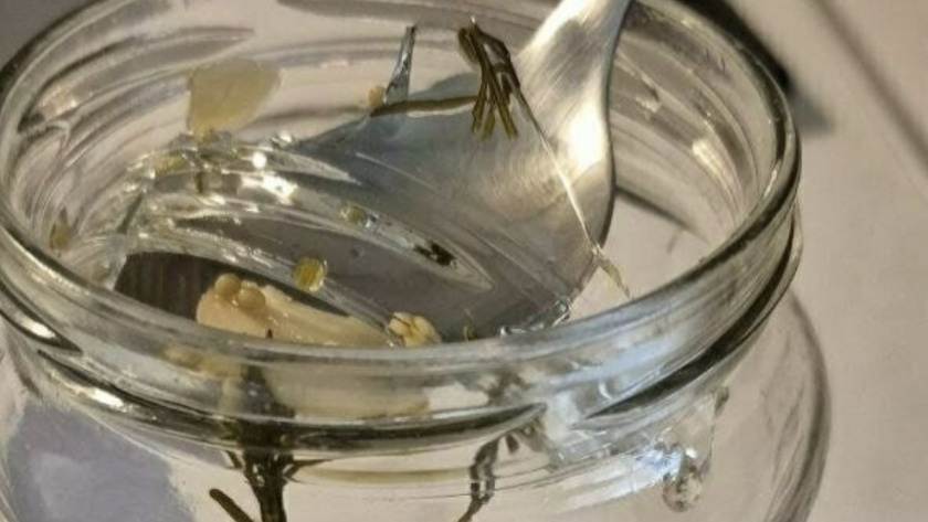    фото очевидец Максим Р