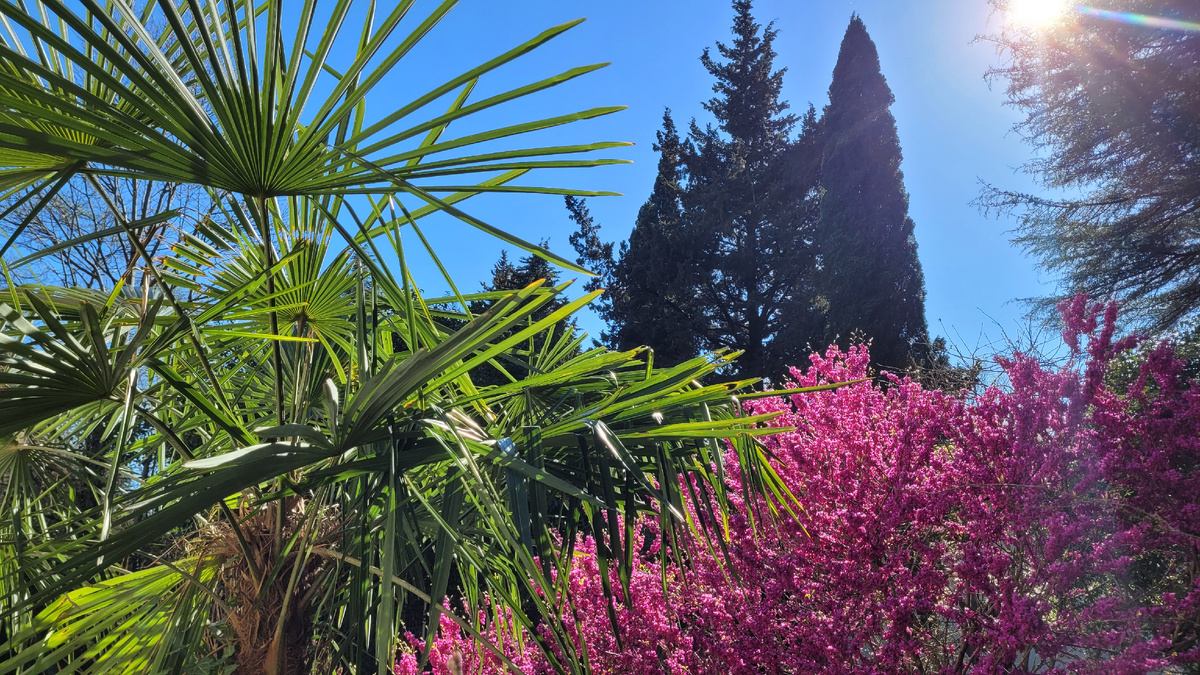 Сегодня снова теплый и солнечный день