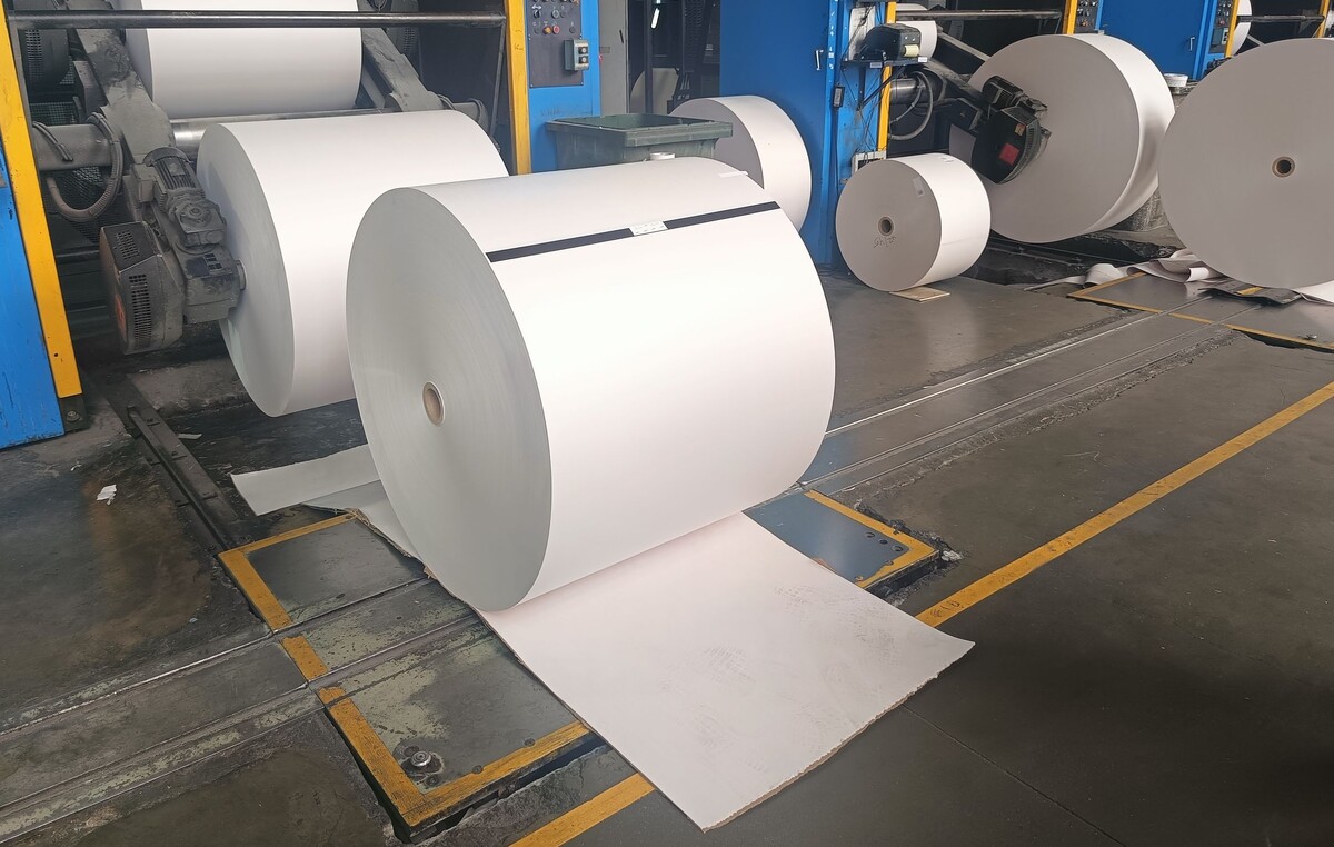    фото: © Столица на Онего