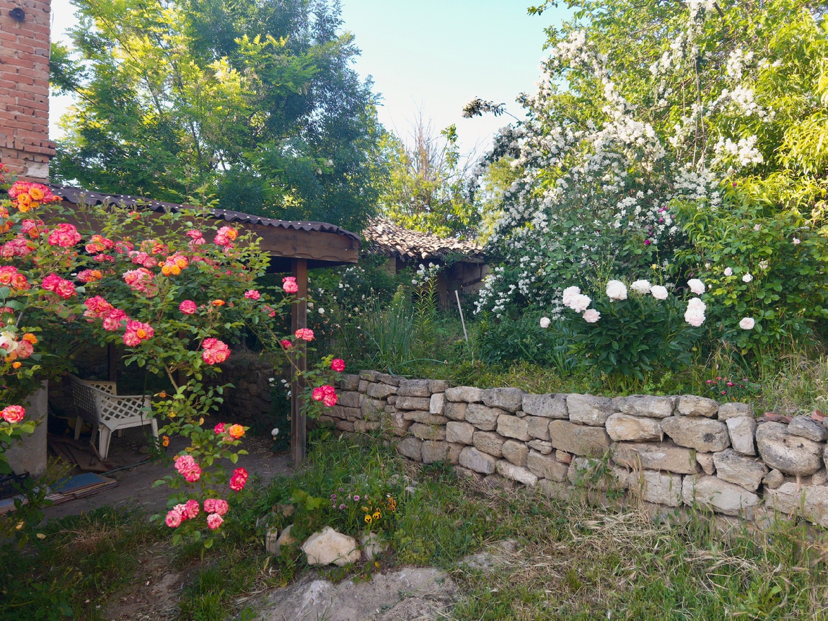 Здесь без меня, здесь без меня... здесь ничего не расцветало... 