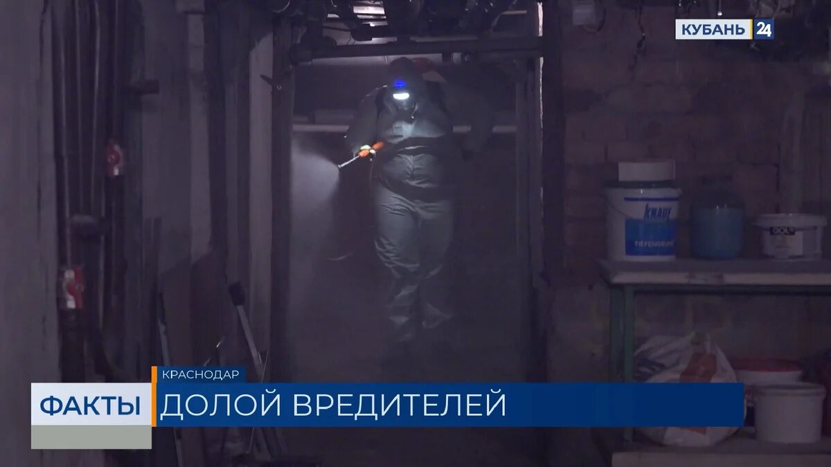    Скриншот видео телеканала «Кубань 24»