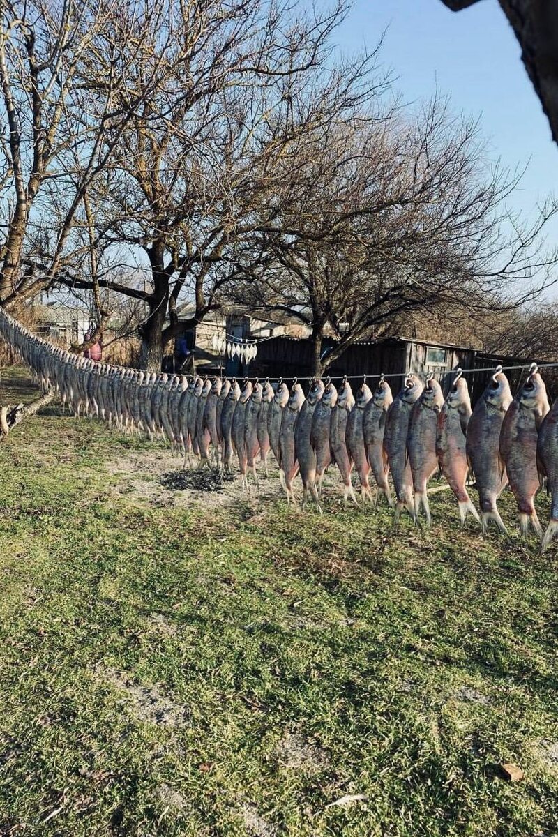 Моя рыба, мое фото