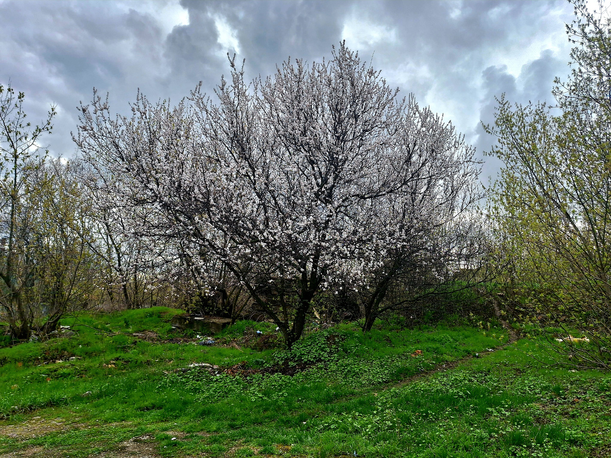 Фото автора.
