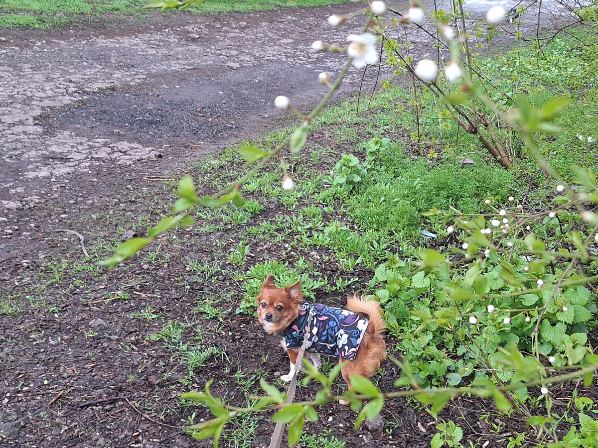 Фото автора.