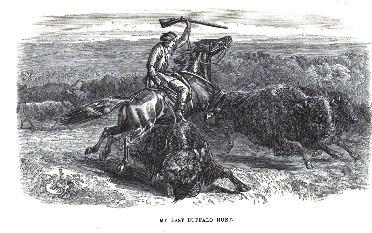 Моя последняя охота на бизонов. Иллюстрация из книги Д.Палиссера