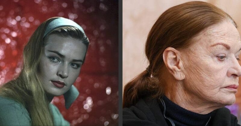    Людмила Чурсина