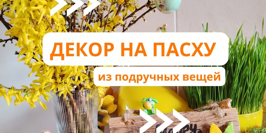 Привет! Я - Алёна Волкова, эксперт ОК по саду и огороду, писательница и большой любитель флористики и декора дома с помощью очень простых
