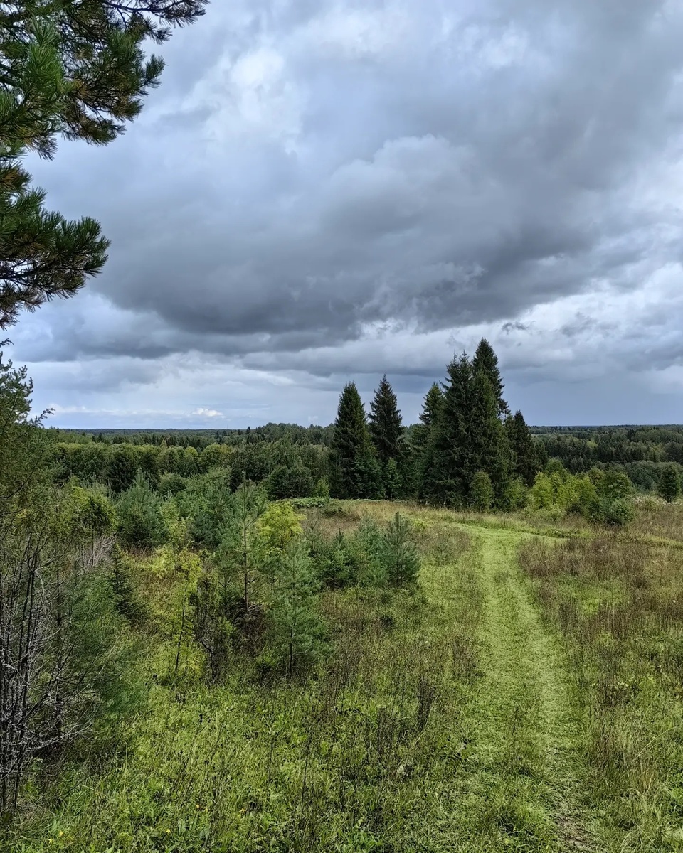 Красивый лес вокруг.