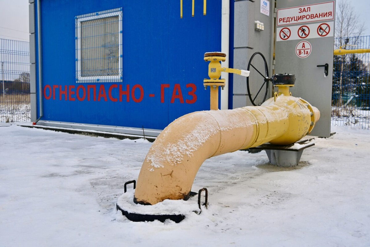    Фото: "Республика" / Оксана Кудряшова