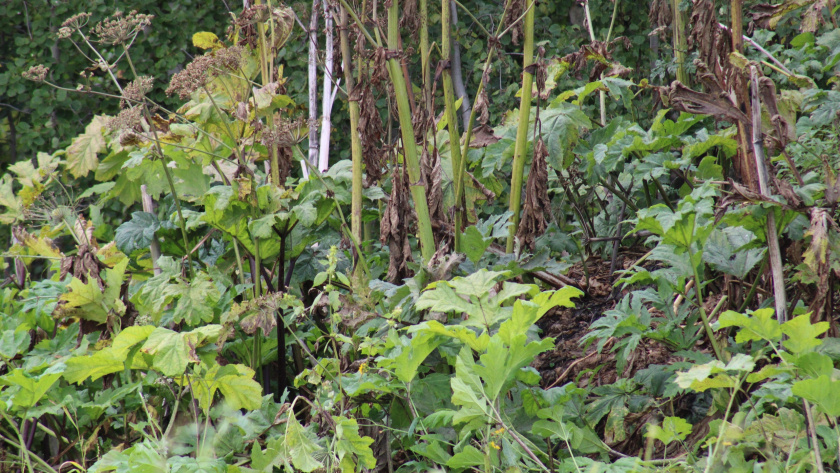    Фотоархив редакции