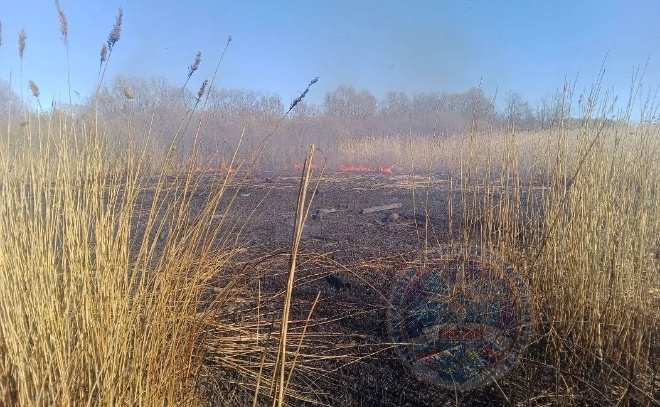    © Аварийно-спасательная служба Ленинградской области t.me/acclenobl/3944