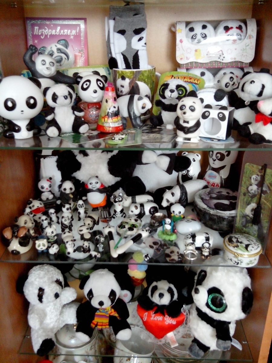 Изначально коллекция панд хранилась в такой вот витрине