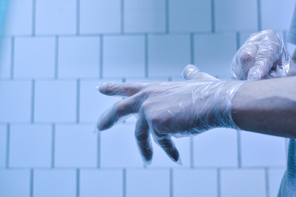 Shutterstock/FOTODOM   📷