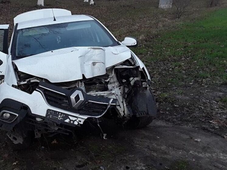     В Белгородском округе «Рено» вылетел в кювет: пострадал водитель, фото: пресс-служба УМВД по Белгородской области