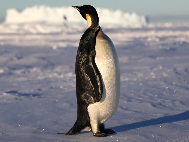    Фото: ТАСС/Zuma