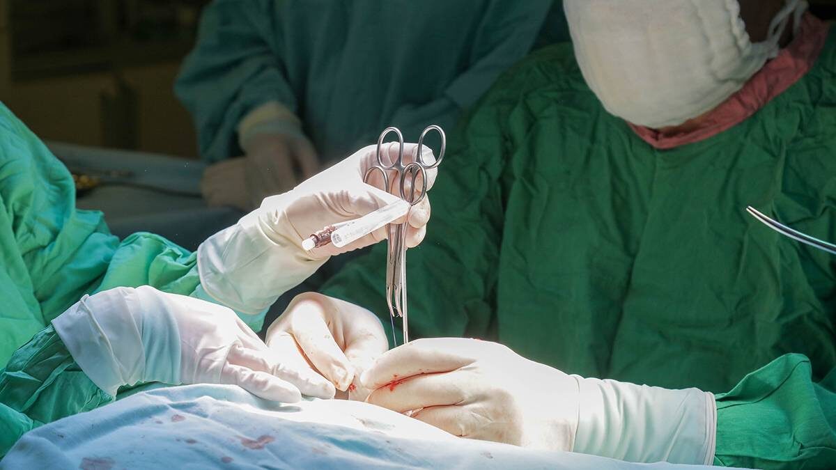    Фото: Артур Новосильцев / АГН Москва