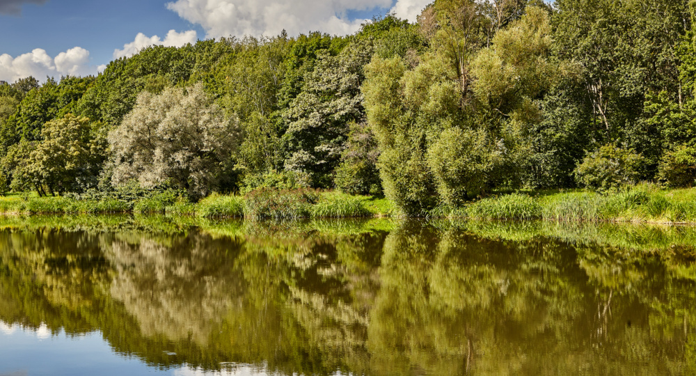 Журналист. Озеро.