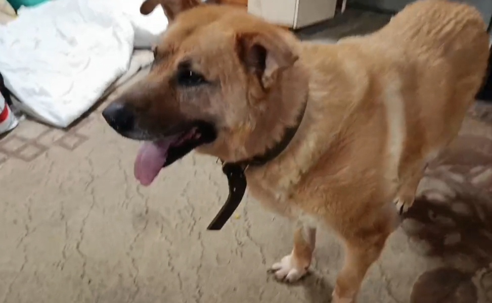 Это победа!