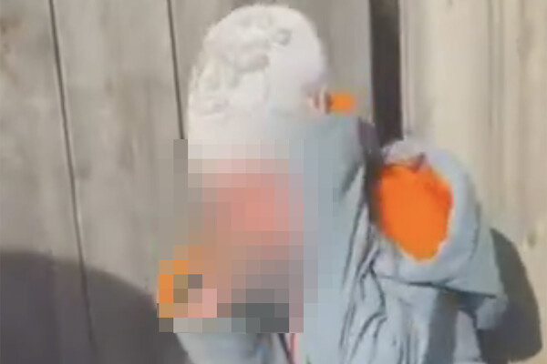 Telegram-канал Babr Mash  📷