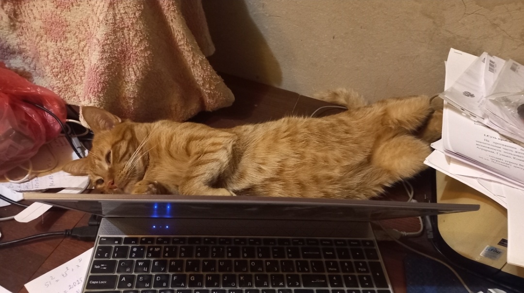 Макс балдёжник. Ему дождь не помеха. В его мире всегда тепло и сухо.