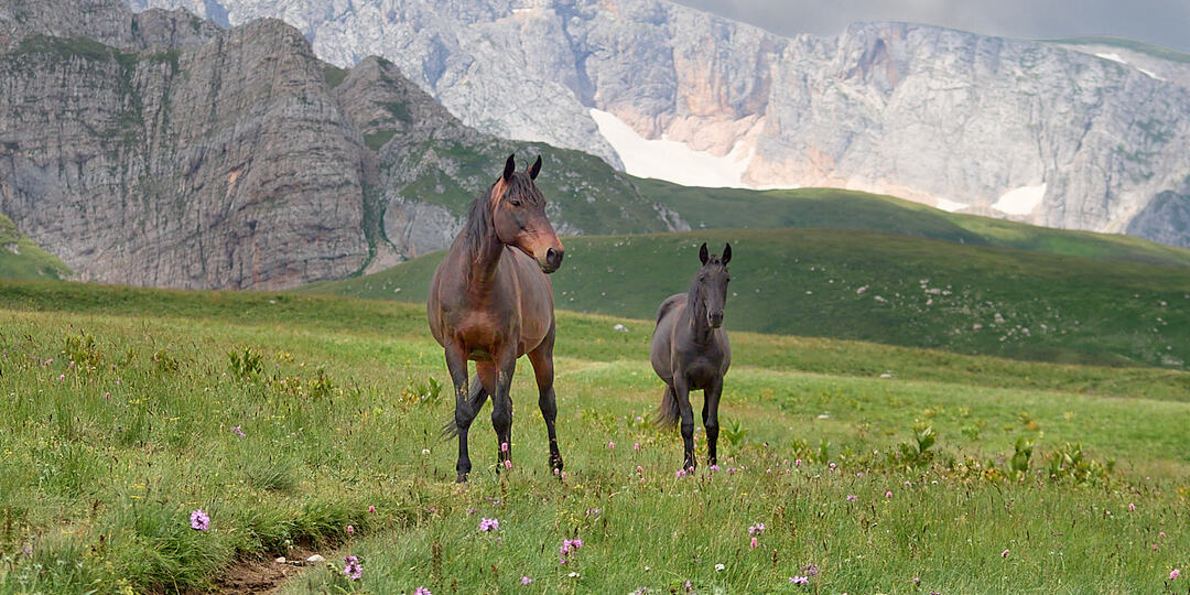 Горячий Ключ. Летняя прогулка для тех кто мечтает.