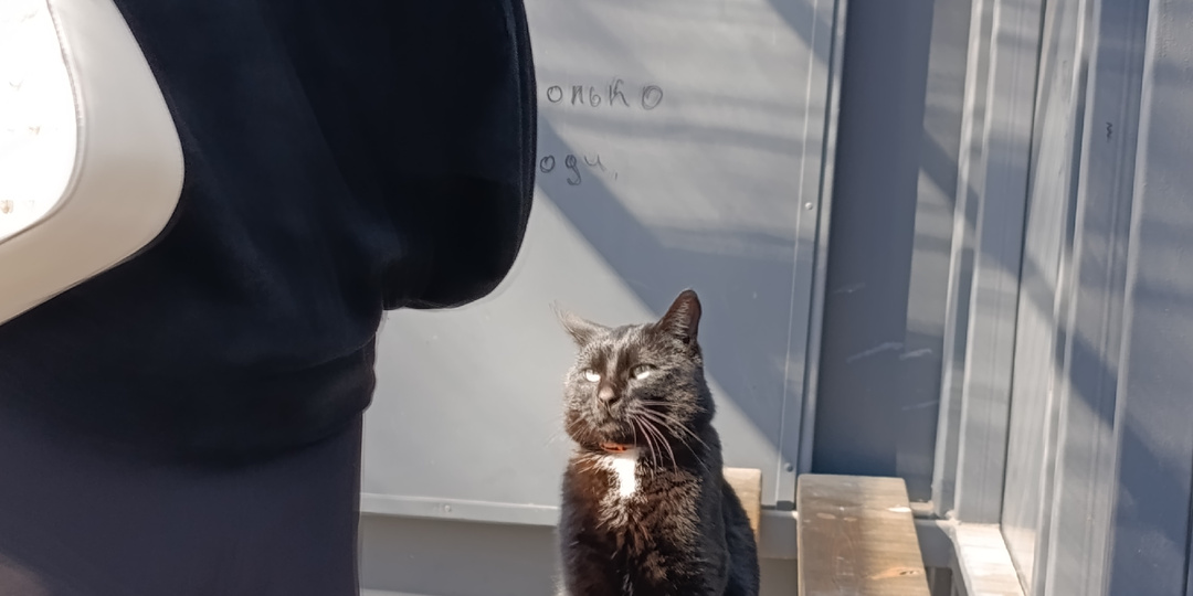 Типичный Светлогорск 10.04.26