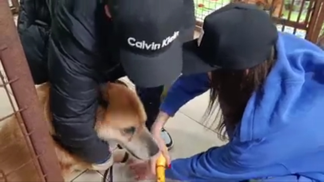 Пойдём домой!