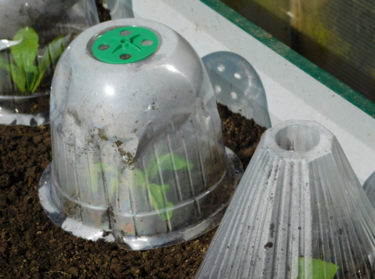 Мне больше нравится колпак с регулятором доступа воздуха - он зелёного цвета.