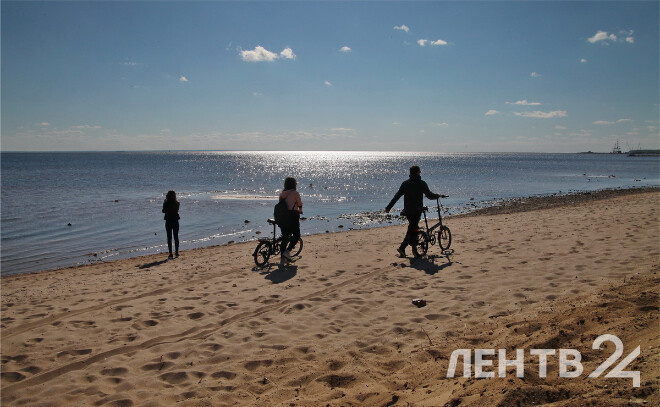    © Анастасия Илюшина / ЛенТВ24, архивное фото