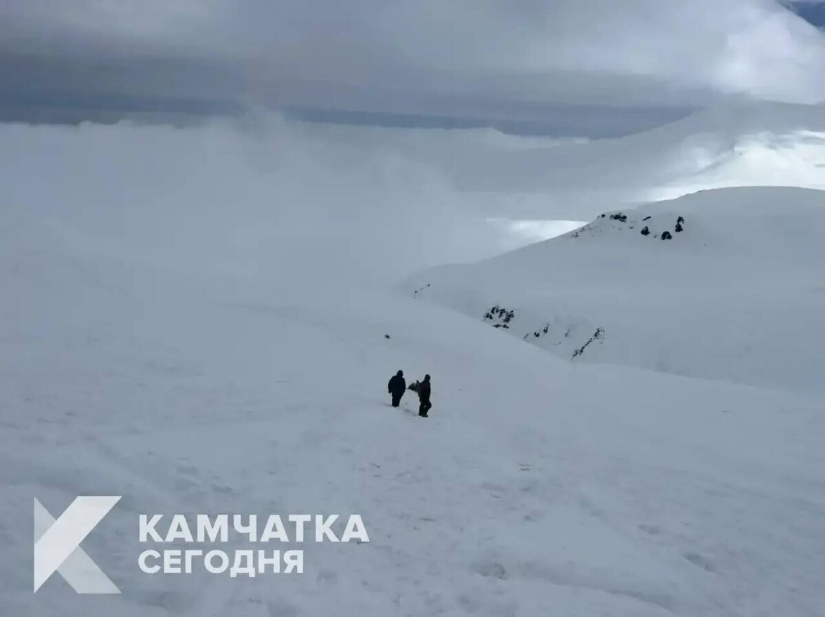 Фото ИА «Камчатка»