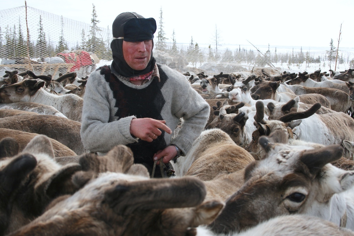 Фото: Александра Марчук / GeoPhoto