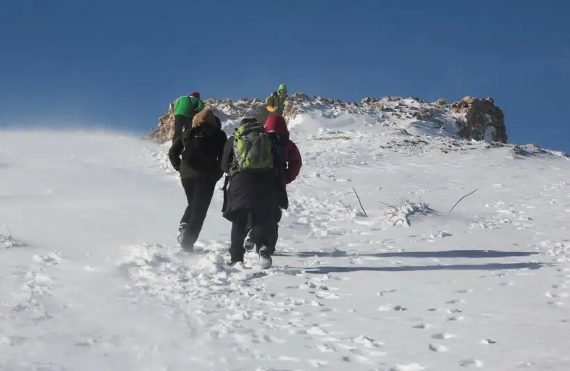     © РИА Новости Макс Ветров