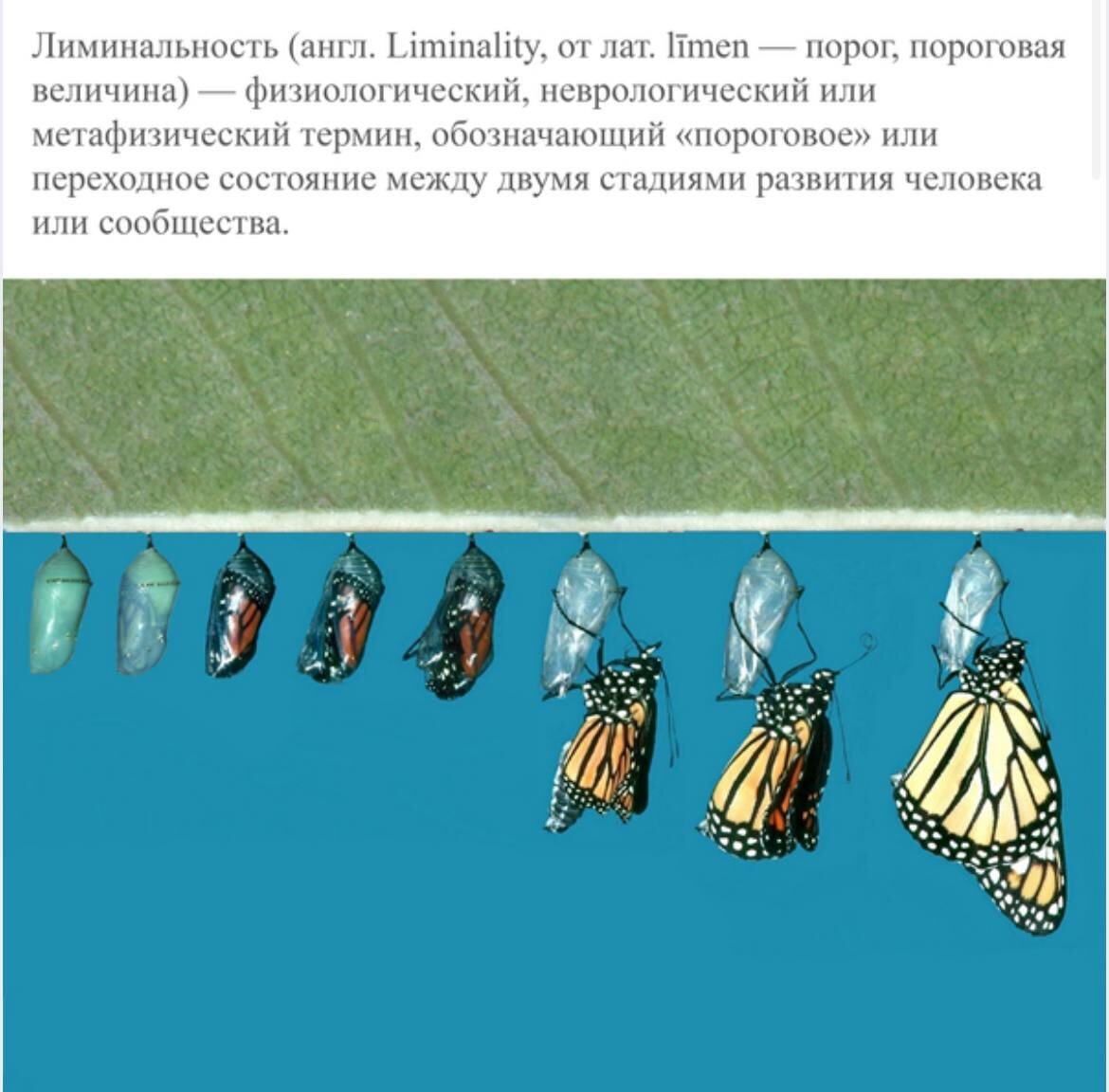 Лиминальное пространство - возможность трансформаций
